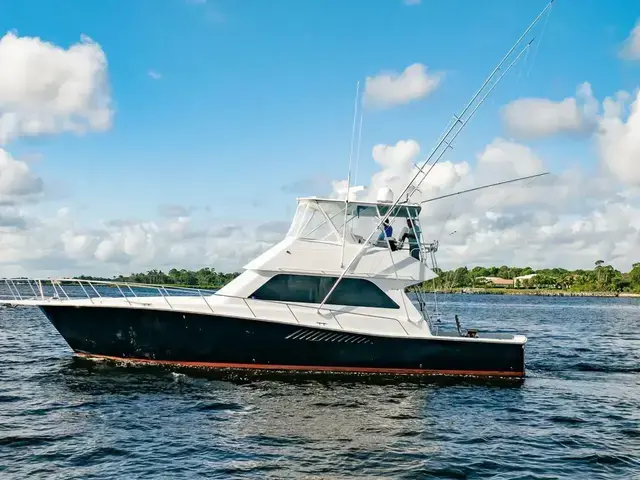 Viking Conv Sport Fisher