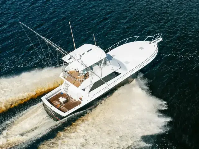 Viking Conv Sport Fisher