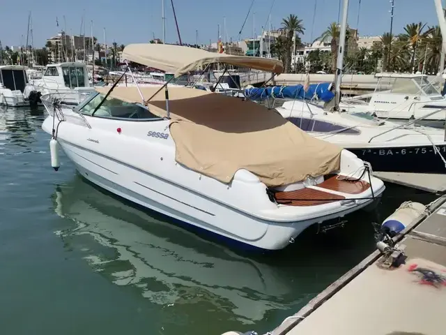 Sessa Islamorada 23