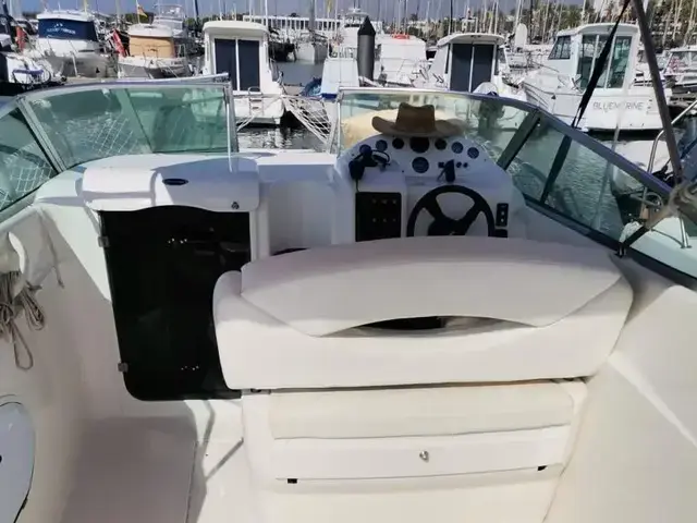 Sessa Islamorada 23