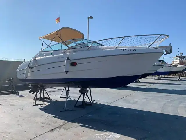 Sessa Islamorada 23