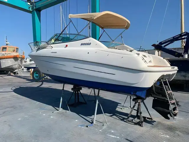 Sessa Islamorada 23