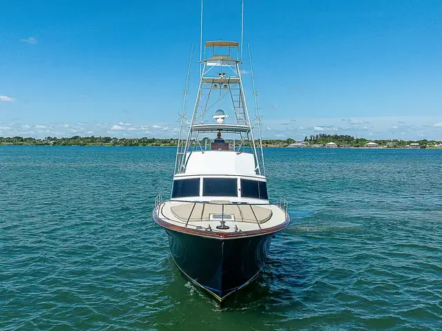 Rybovich 54'