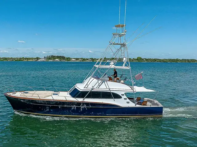 Rybovich 54'