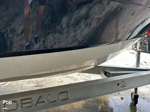 Robalo R160 CC