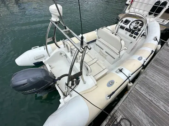 Ribeye 550