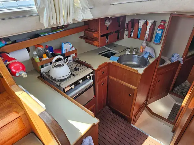 Seastream 34