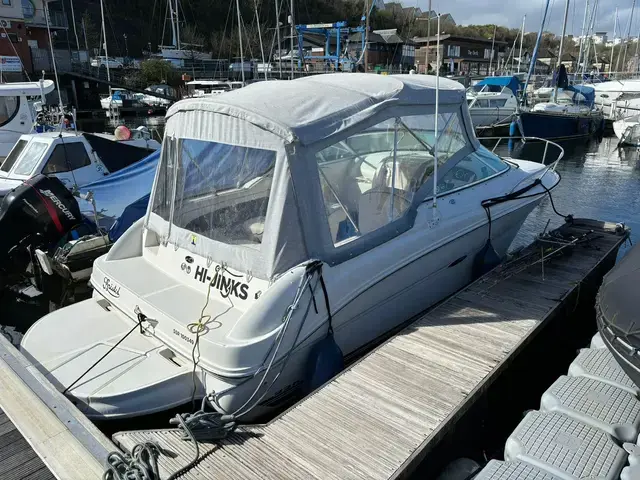 Sea Ray 225 Weekender