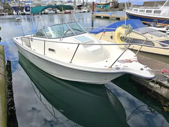 Bayliner Trophy 2052 WA