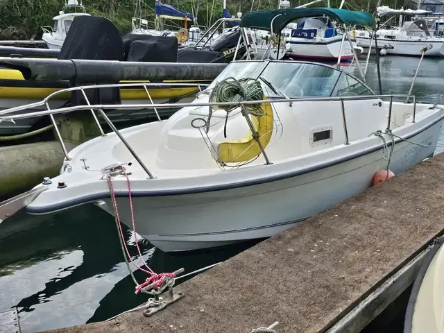 Bayliner 2052 Trophy