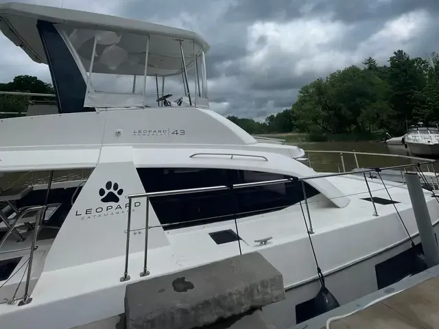 Leopard Powercat 43