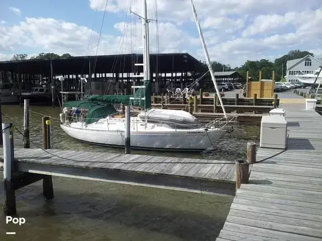 Islander 36