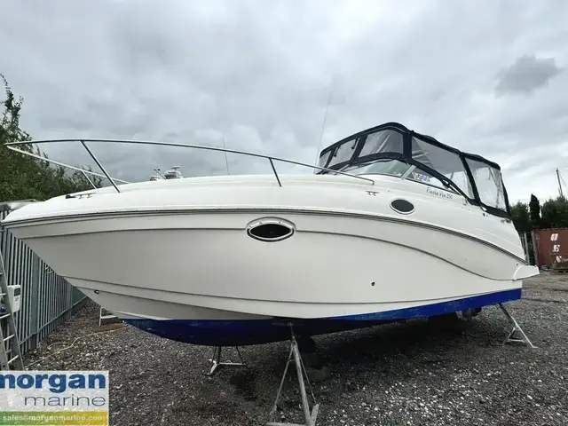 Rinker fiesta Vee 250