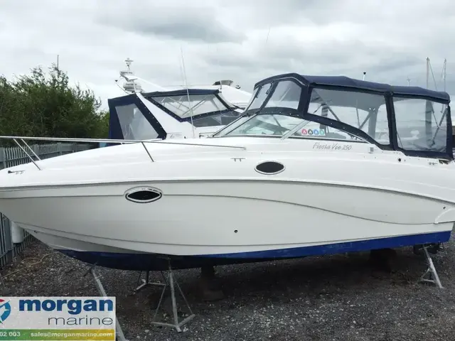 Rinker fiesta Vee 250