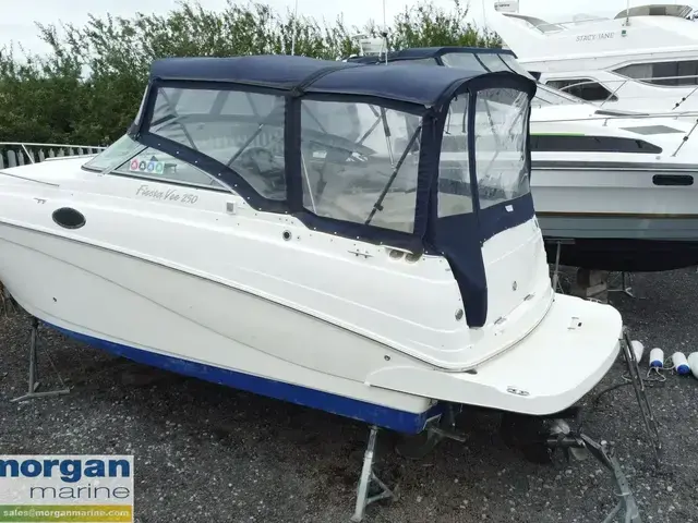 Rinker fiesta Vee 250