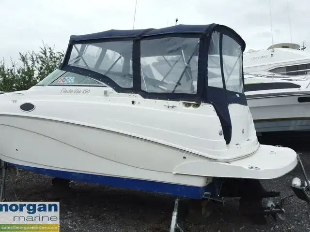 Rinker fiesta Vee 250