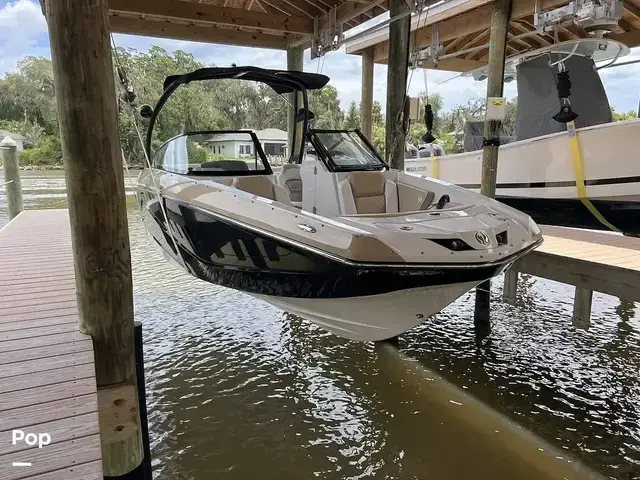 Scarab 255 Platinum Se