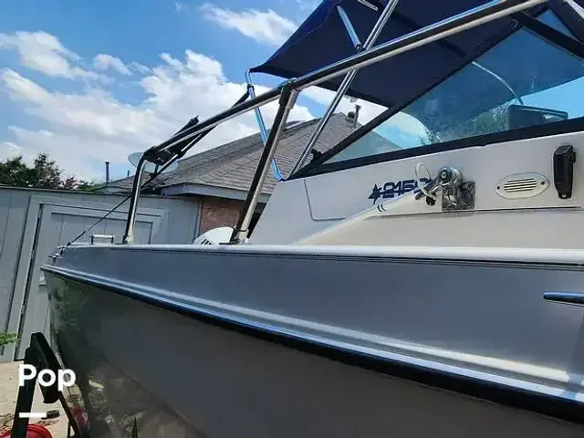 Seaswirl 2150 Striper