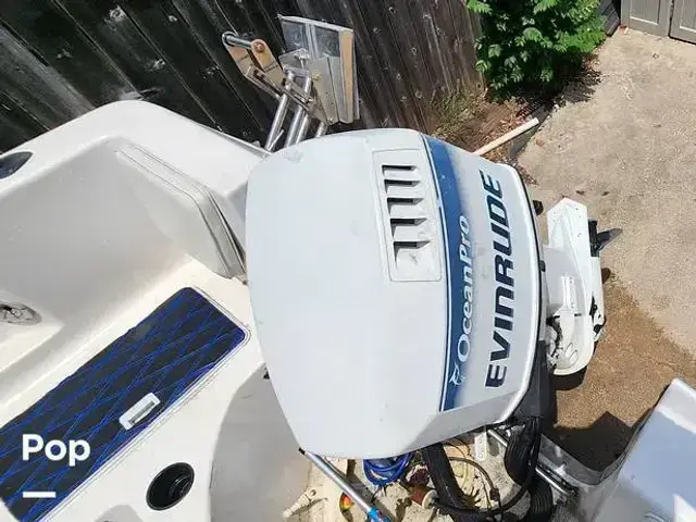 Seaswirl 2150 Striper