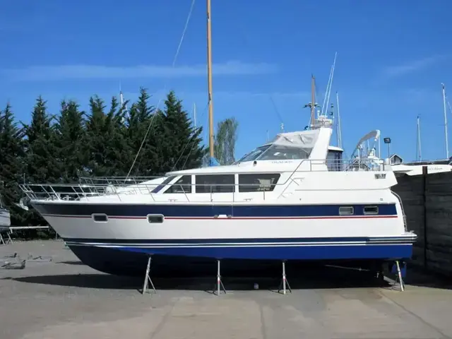 Trader 42