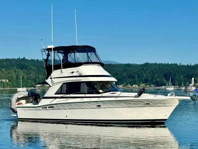 Riviera 36'