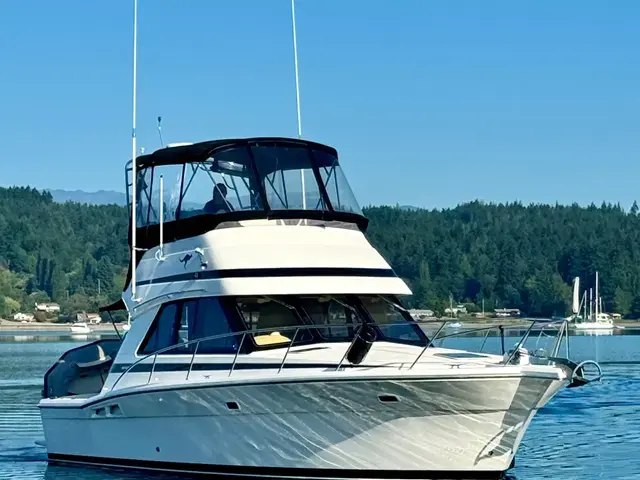 Riviera 36'