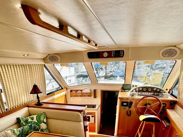 Riviera 36'