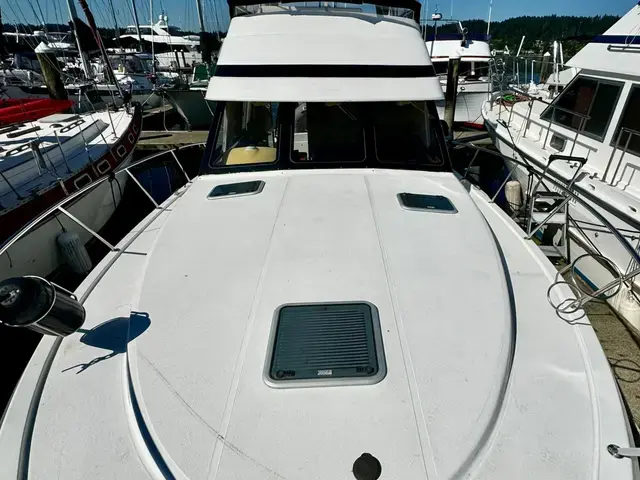 Riviera 36'