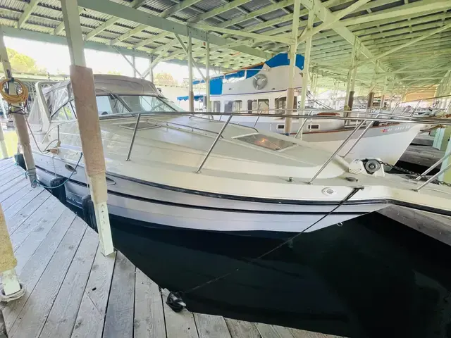 Chaparral 310 Signature