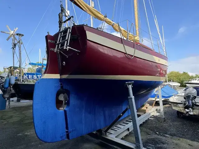 Oysterman 22