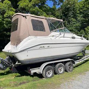 1996 Sea Ray 250 EC