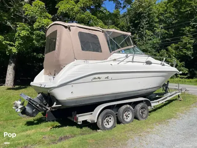 Sea Ray 250 EC