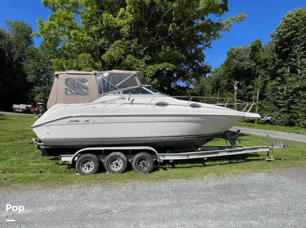 1996 Sea Ray 250 ec