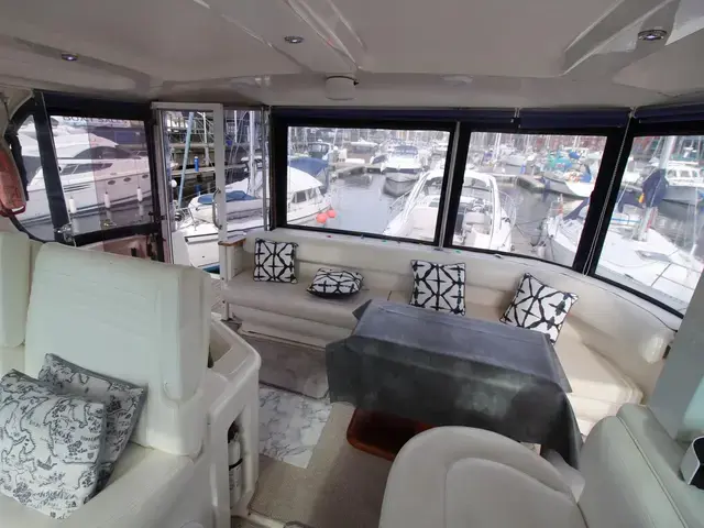 Sea Ray 390