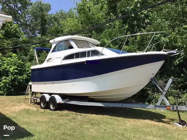 Bayliner Discovery 246