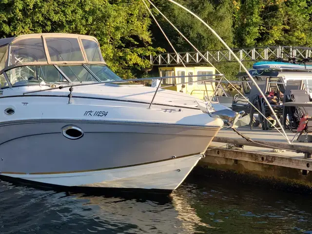 Rinker 250 Fiesta Vee with Trailer