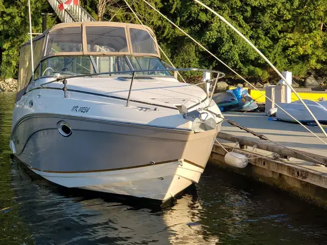 Rinker 250 Fiesta Vee with Trailer