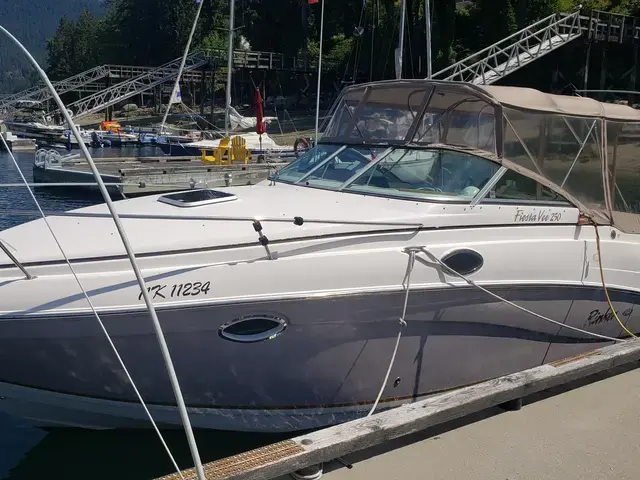 Rinker 250 Fiesta Vee with Trailer