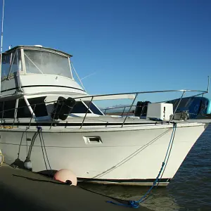 1982 Bertram 42 Convertible