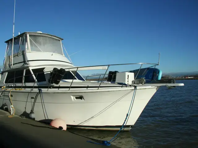 Bertram 42 Convertible