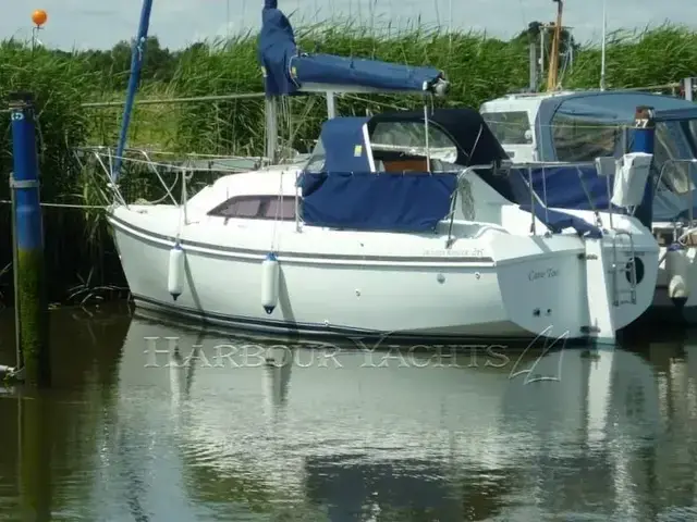 Hunter Ranger 245