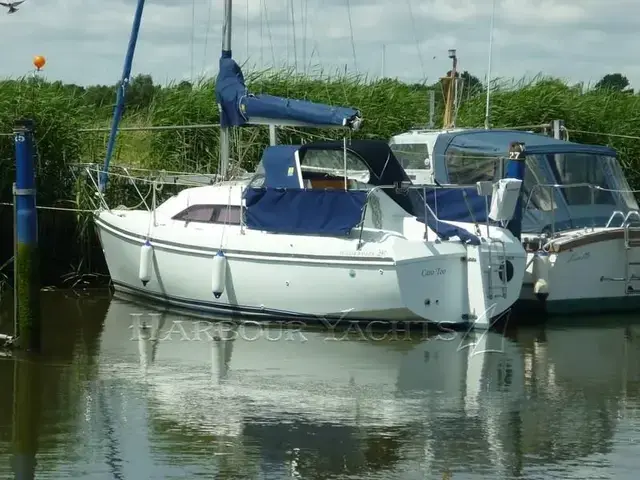 Hunter Ranger 245