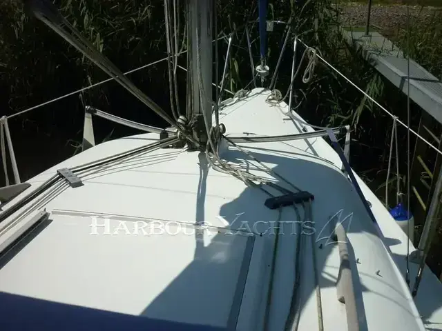 Hunter Ranger 245