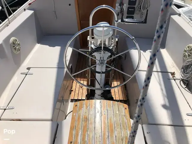 Hinterhoeller Nonsuch 30