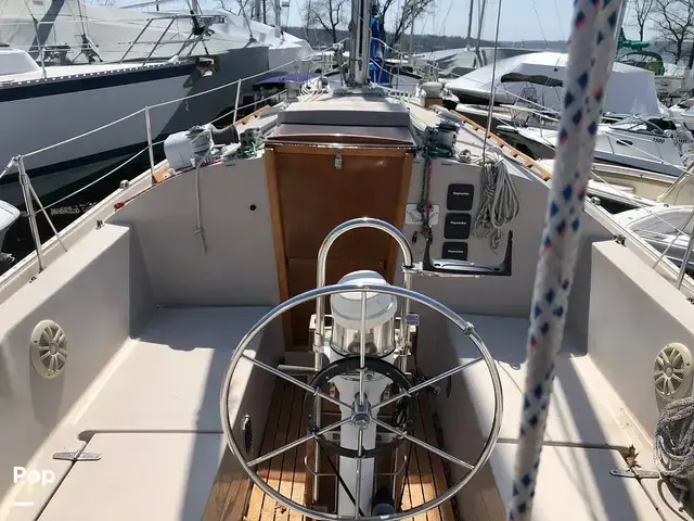 Hinterhoeller Nonsuch 30