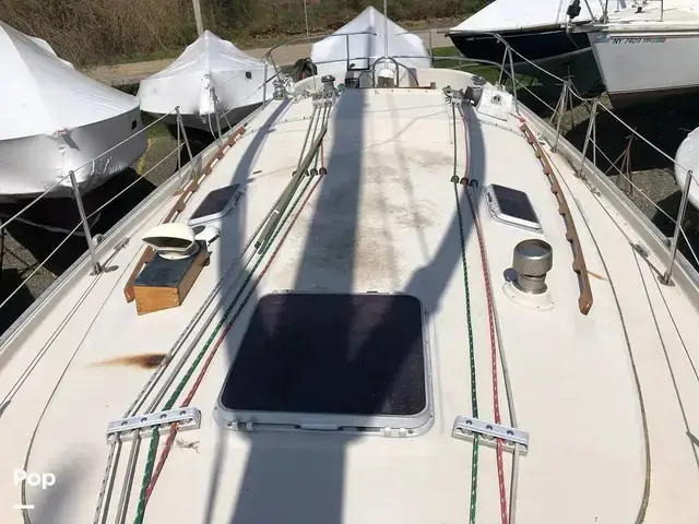 Hinterhoeller Nonsuch 30