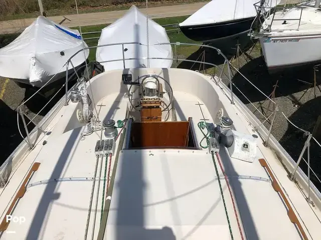 Hinterhoeller Nonsuch 30