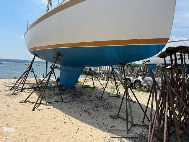 Hinterhoeller Nonsuch 30