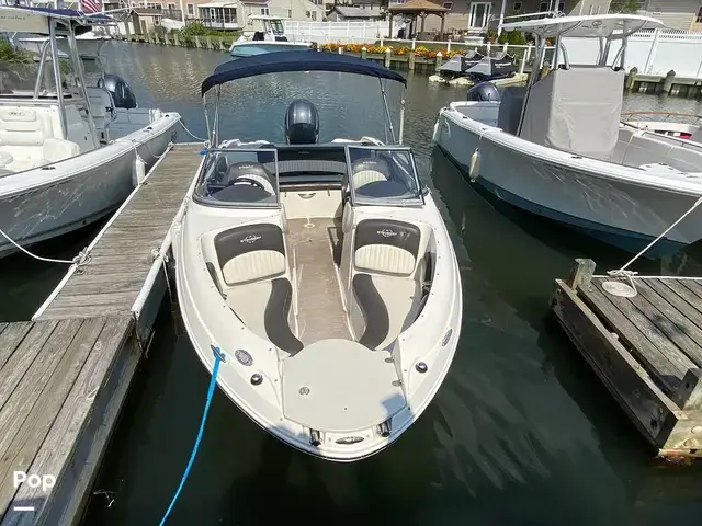 Stingray 204 Lr