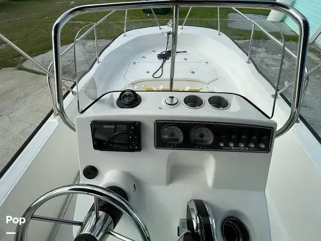 Boston Whaler 170 Montauk